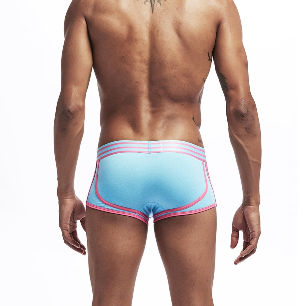 The Nicholas 3-Pack