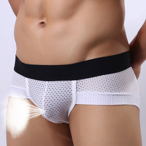 The George White Nylon Bulge Pouch Mens Underwear See-Through Brief