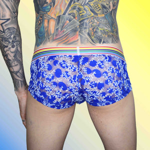 Super Gay Underwear and Lingerie for Men Transparent Printed Briefs with Rainbow bank Matthew Leighton Trew -The Jerry